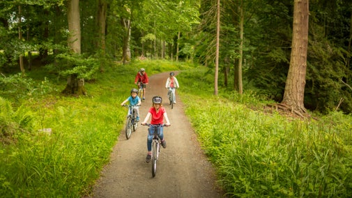 A family cycling on the Dragon Cycle Trail at Wallington, Northumberland